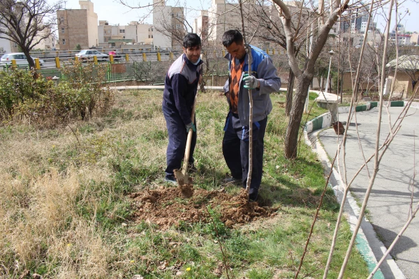 مراسم گرامیداشت روز درختکاری 14