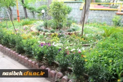 بهار در نسیبه 2