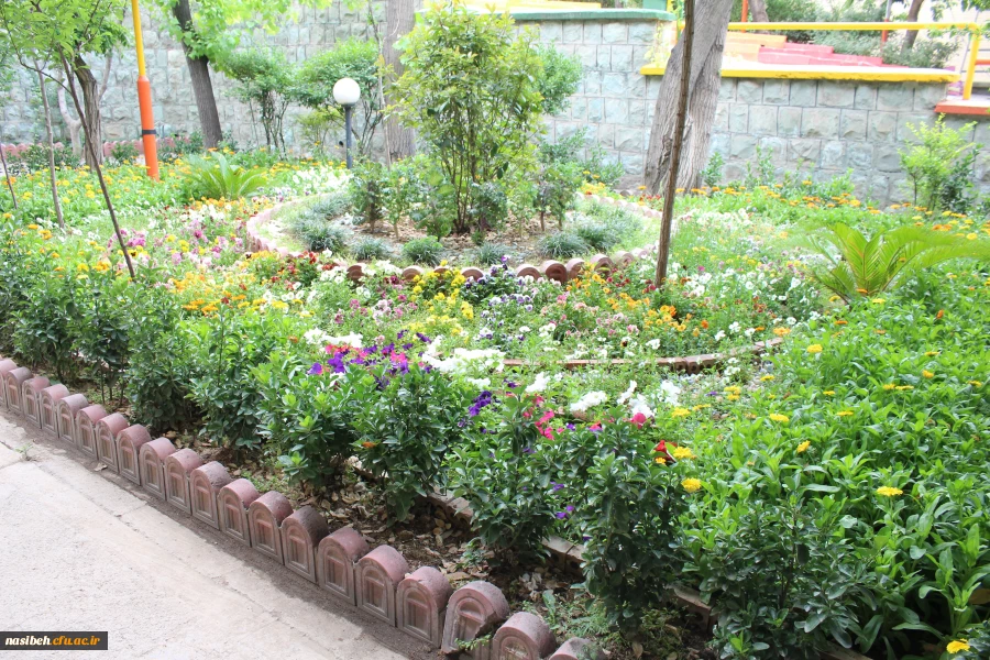 بهار در نسیبه 2