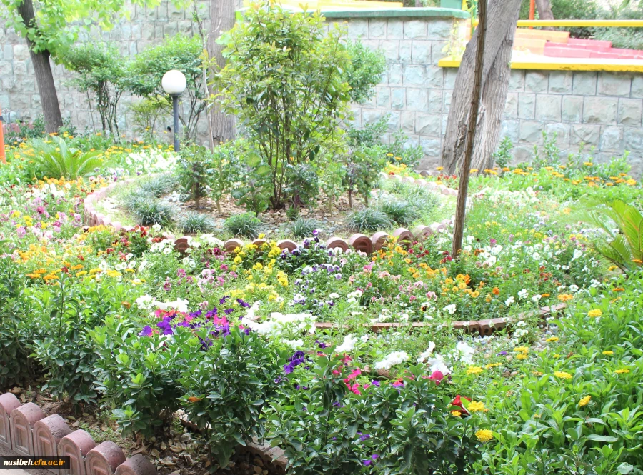 بهار نسیبه 2