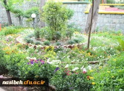 بهار نسیبه 2