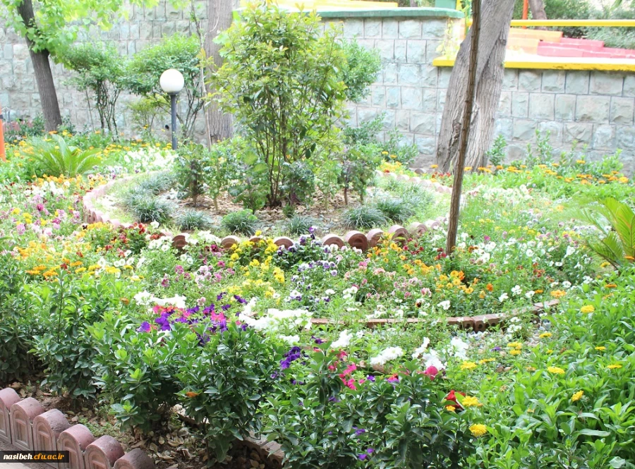 بهار نسیبه 2