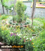 بهار نسیبه 2