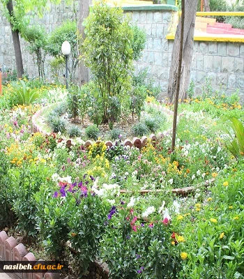 بهار نسیبه 2