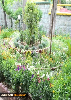 بهار نسیبه 2