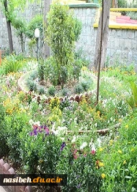 بهار نسیبه 2