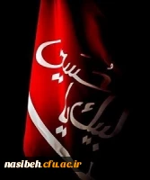 ارباب صدای قدمت می آید... 2