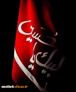 ارباب صدای قدمت می آید... 2