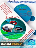 پوستر مسابقات بومی محلی