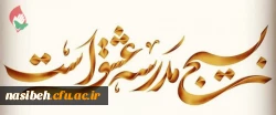 هفته بسیج گرامی باد 2