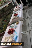 پیاده روی همکاران به مناسبت هفته بسیج وسه شنبه های شاد  2