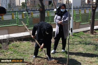 کاشت نهال ایثار در پردیس نسیبه به مناسبت روز درختکاری ومیلاد امام حسین (ع)