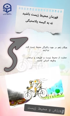 برگزاری مسابقات ورزشی به مناسبت گرامیداشت هفته تربیت بدنی 3