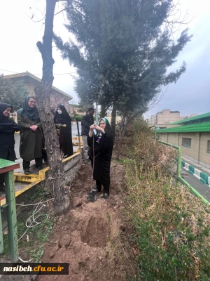 روز درختکاری 