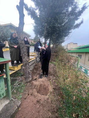 روز درختکاری  3