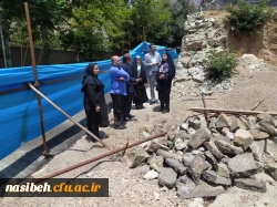 بازدی شهردار ناحیه 4 منطقه 2 از پردیس نسیبه 3