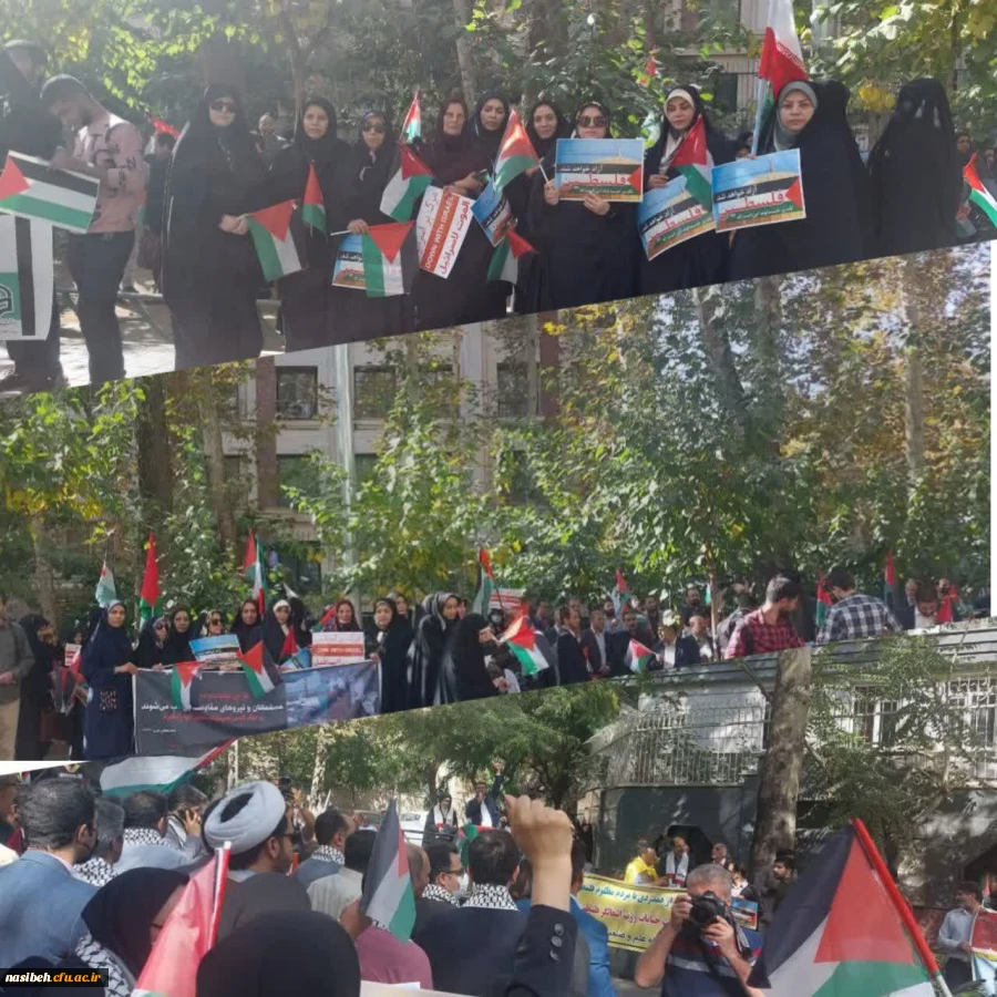 حضور استادان دانشگاه فرهنگیان در تجمع اعتراضی علیه جنایات رژیم صهیونستی مقابل دفتر سازمان ملل 2