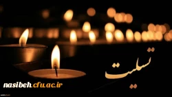 بسم رب الشهداء و الصدیقین 2