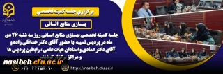 برگزاری جلسه کمیته تخصصی بهسازی منابع انسانی