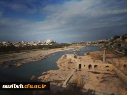 هشتمین گردهمایی تشکل های اجتماعی 3