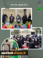 15 اسفند روز درخت کاری 4