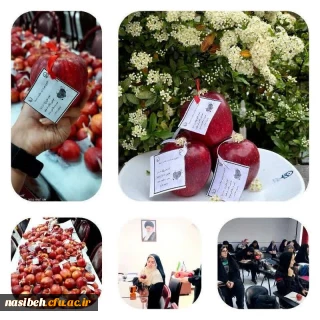 روز جهانی بهداشت و هفته سلامت 