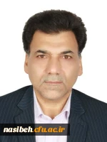 آقای دکتر محمدی