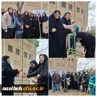 کاشت نهال به مناسبت روز درختکاری در پردیس نسیبه 2