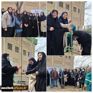 15 اسفند روز درختکاری مبارک 