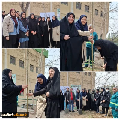 15 اسفند روز درختکاری مبارک 