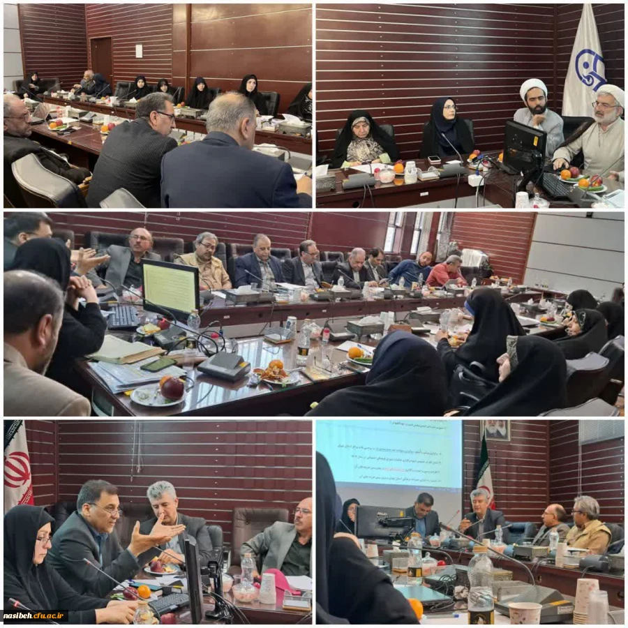 برگزاری اولین جلسه شورای فرهنگی استان تهران در سال ۱۴۰۴ پردیس نسیبه  2