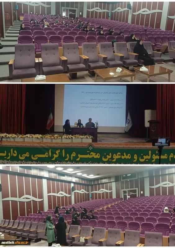 برگزاری نشست تجربه های زیسته کاربرد هنر های تجسمی در آموزش ابتدایی 2