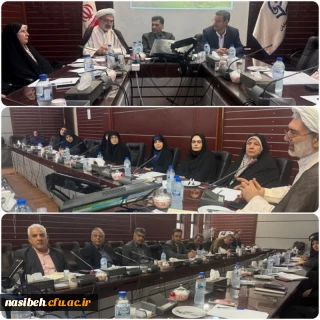 برگزاری بیست و پنجمین جلسه شورای مدیران استان تهران