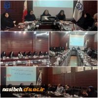 برگزاری جلسه هم اندیشی استادان گروهای تربیت بدنی و مطالعات اجتماعی، تاریخ و جغرافیا 2