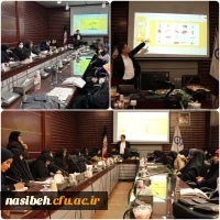 برگزاری کارگاه تخصصی «بازی ها، فعالیت ها و سناریوهایی برای آموزش تفکر خلاقانه» 2