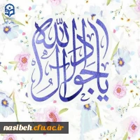 میلاد نهمین گوهر تابناک امامت، حضرت جواد الائمه (ع) مبارک باد 2