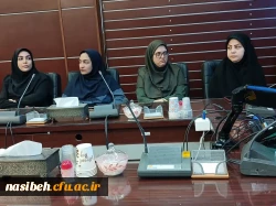 گرامیداشت میلاد حضرت معصومه (س) 2