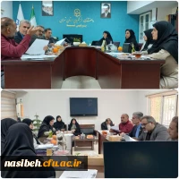 برگزاری جلسه کارگروه سیزدهمین جشنواره «تدریس برتر» دانشکده تربیت بدنی و علوم رفتاری نسیبه 2